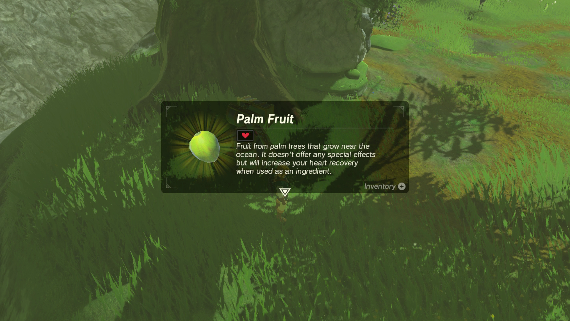 Zelda Breath of the Wild cooking explained ingredients list, bonus